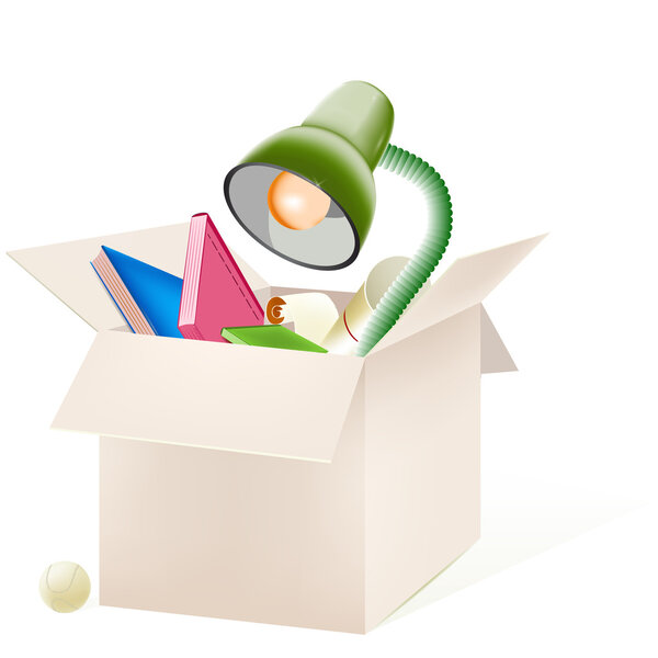 Cardboard box with things, vector
