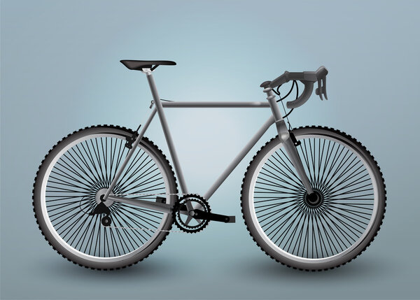 Vector Bicycle Illustration, vector  illustration 