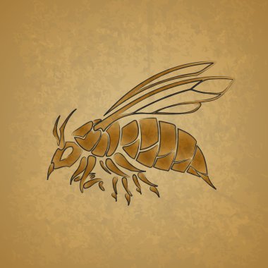 Wasp vector, vector  illustration  clipart