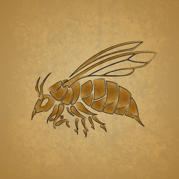 Wasp vector, vector  illustration 