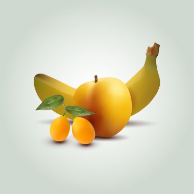 Vector apricot, apple and banana clipart