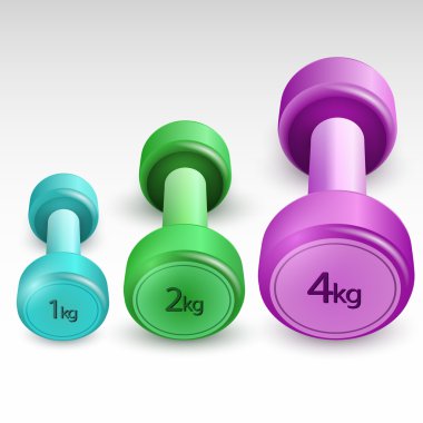 Vector colored dumbbells vector illustration  clipart