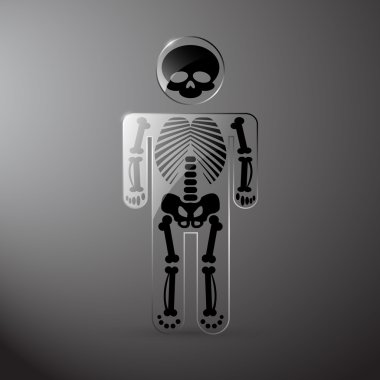 Vector glassy anatomy skeleton clipart