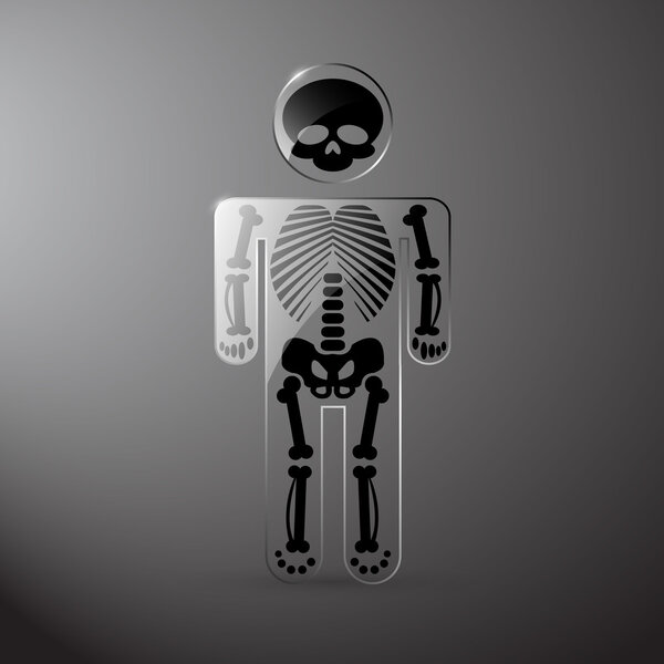 Vector glassy anatomy skeleton