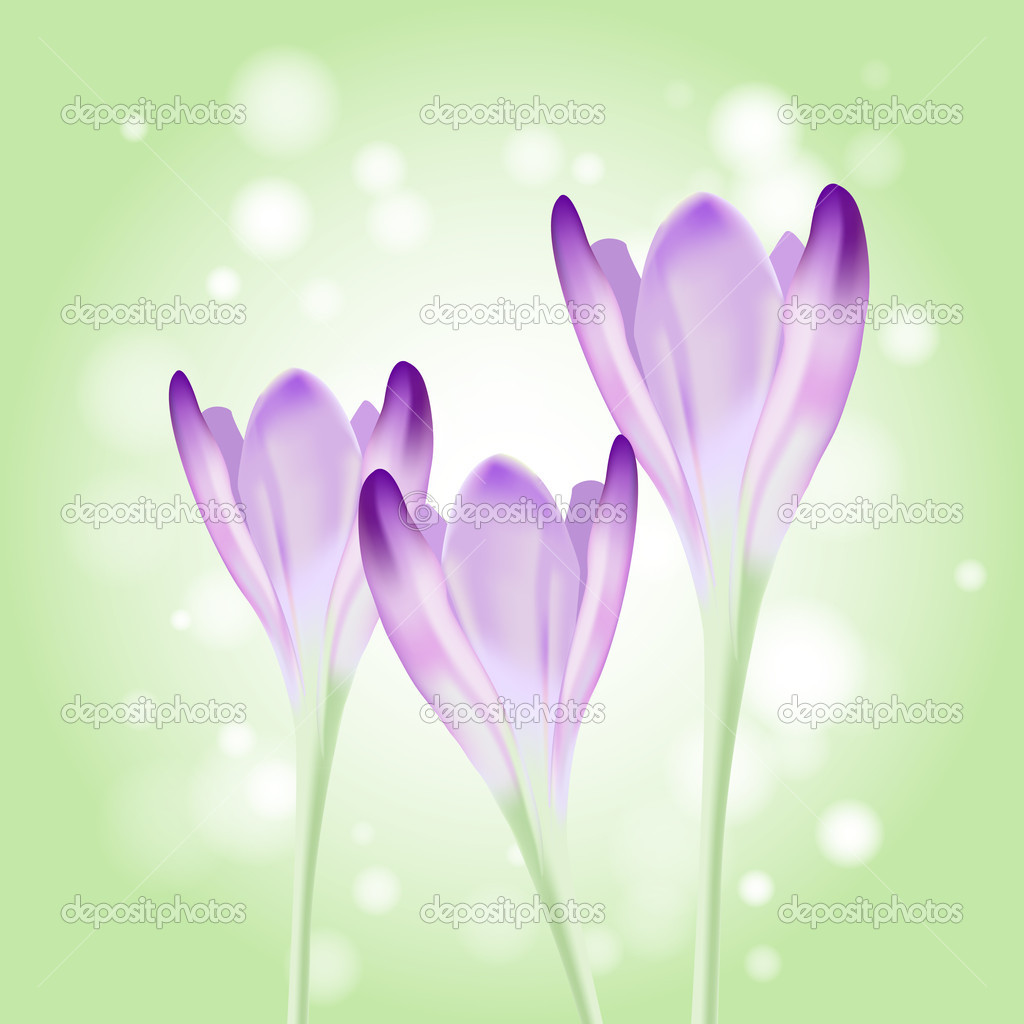 Vector cute spring violet flowers