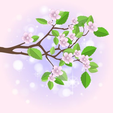 Spring branch,  vector illustration   clipart