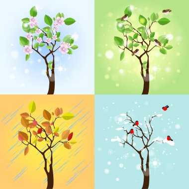 Four Seasons Tree. Vector clipart