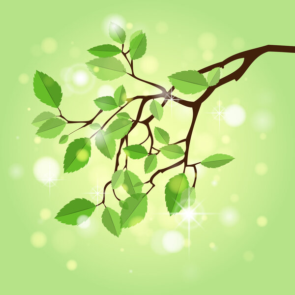 Летняя ветвь, векторная иллюстрация
  