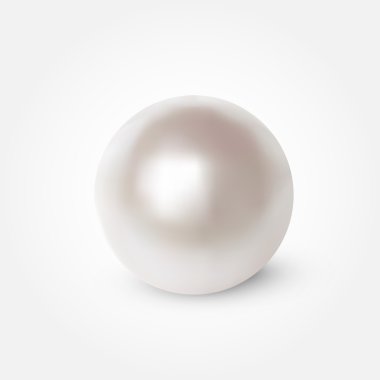 Vector White Pearl,  vector illustration   clipart