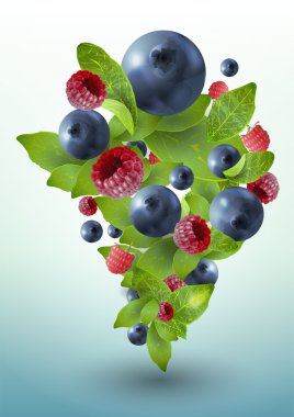 Splash of forest berries. Vector illustration. clipart