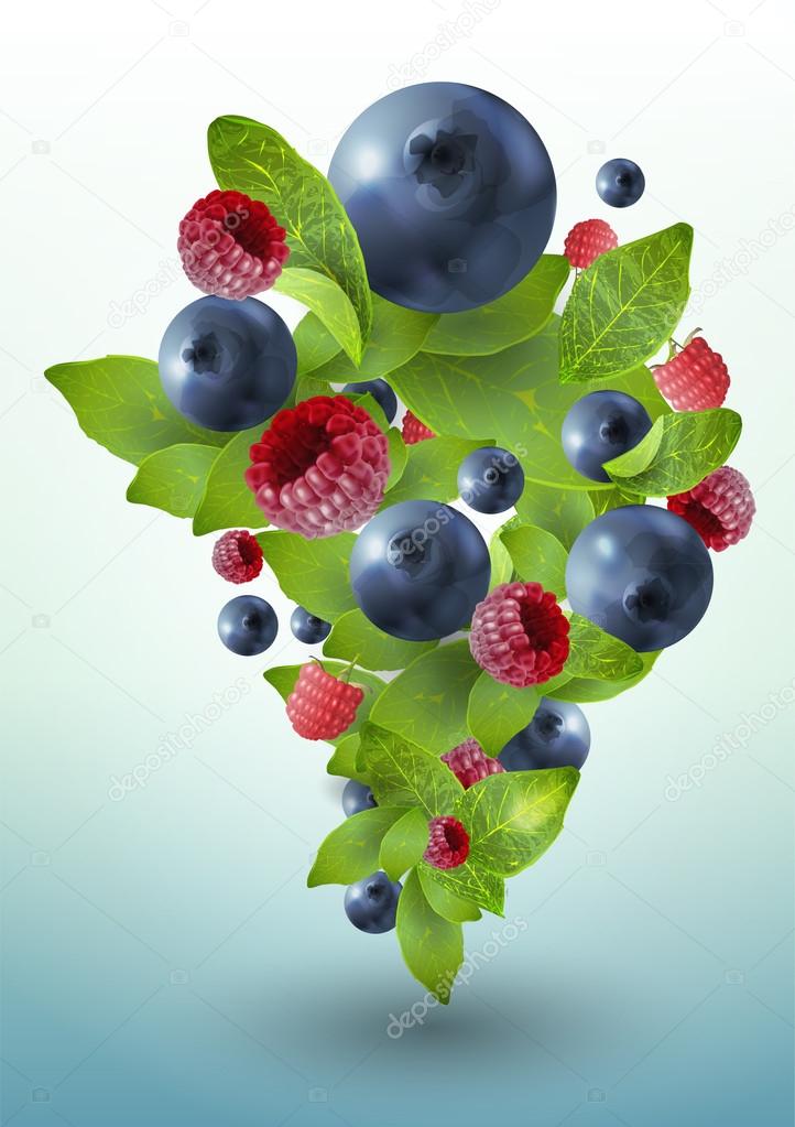 Splash of forest berries. Vector illustration.