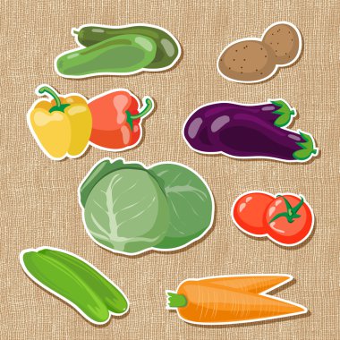 Illustration of vegetables vector illustration  clipart