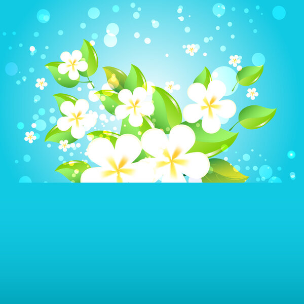 Greeting card with flowers. Vector.