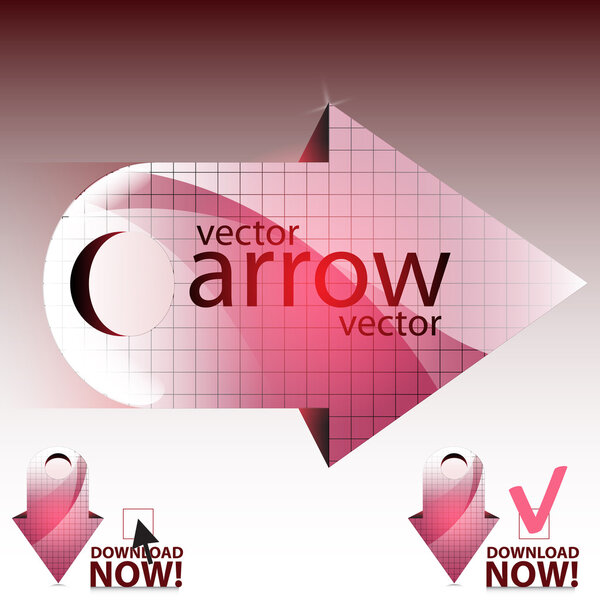Vector arrow vector illustration 