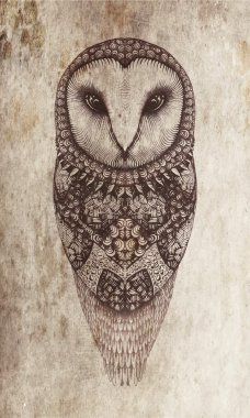 Owl on a gray background clipart