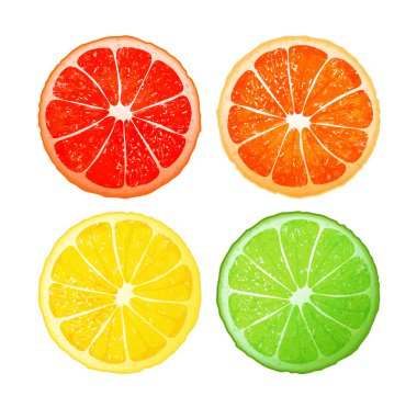 Citrus fruits, vector design clipart