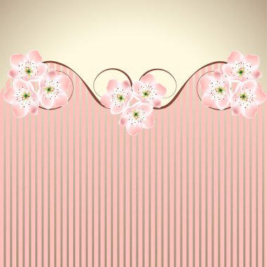 arka plan salladı vektör dekorasyon pembe Hanımeli sakura veya kiraz çiçeği