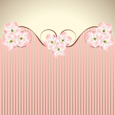vector decoration pink honeysuckle sakura or cherry blossom waved background clipart