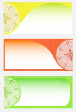 Citrus background, vector design clipart