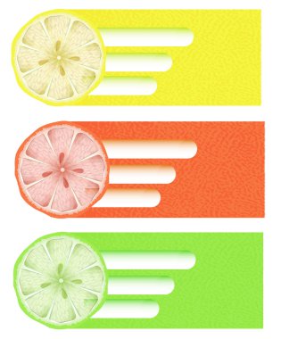 Citrus background, vector design clipart