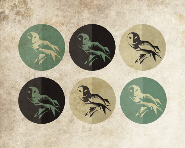 set of six cartoon owls