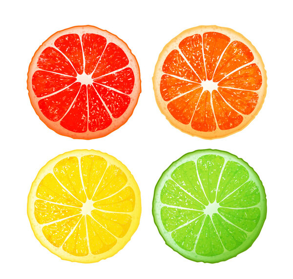 Citrus fruits, vector design
