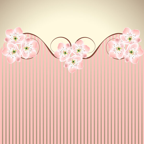 vector decoration pink honeysuckle sakura or cherry blossom waved background