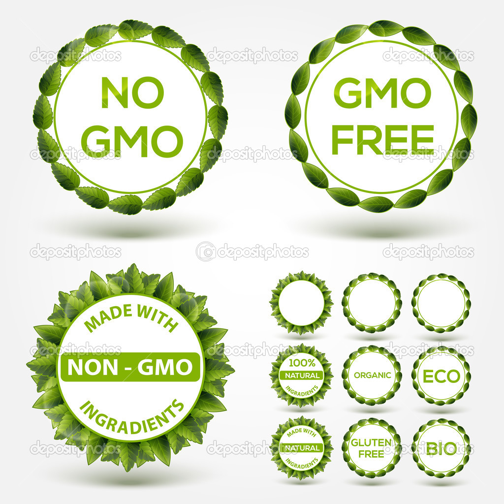 No GMO food label stickers. Vector