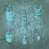Gravírozó vintage rovar készlet. Vektoros illusztráció
