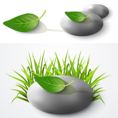 Stone and leaf. Vector illustration clipart