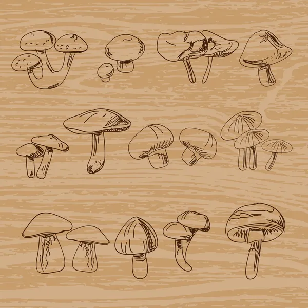 Set Hand Drawn Vintage Mushrooms Vector Illustration — Stock Vector