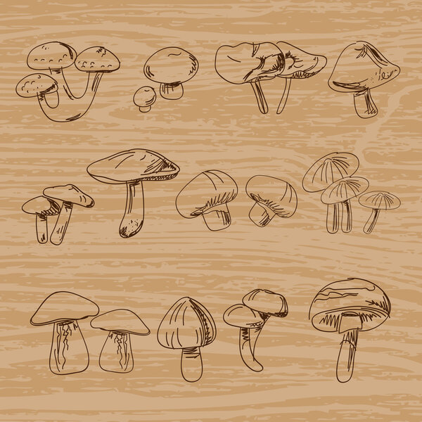 Набор винтажных грибов ручной работы. Векторная иллюстрация
