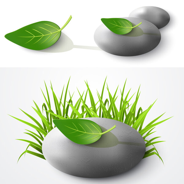 Stone and leaf. Vector illustration