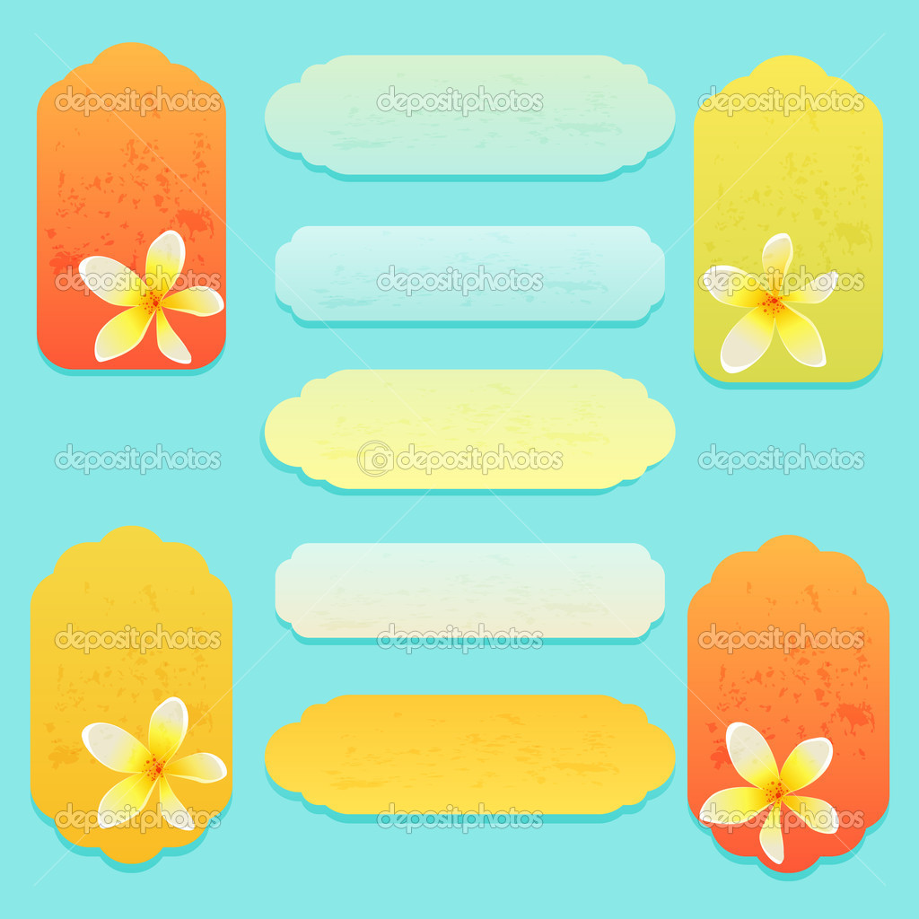 Greeting card with flowers. Vector.