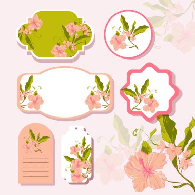 Vector floral arka plan tasarımı
