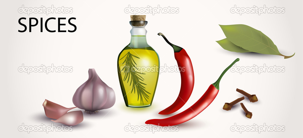 spices and flavorings vector illustration 