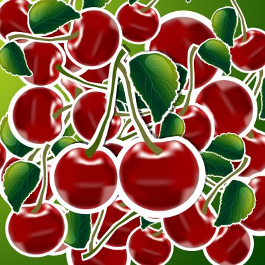 sweet cherries background vector illustration  clipart