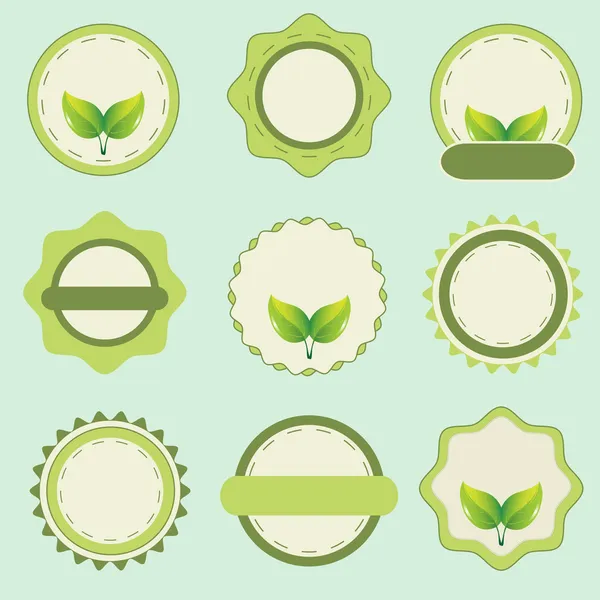 Eco Labels Retro Vintage Design Vector — Stock Vector