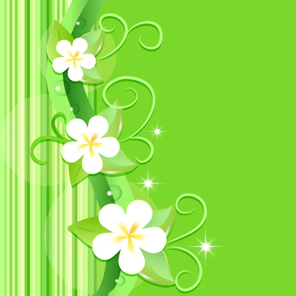 Vector Floral Fondo Diseño — Archivo Imágenes Vectoriales