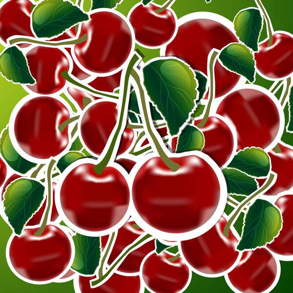 sweet cherries background vector illustration 
