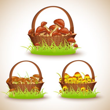 Baskets with mushrooms, vector illustration  clipart