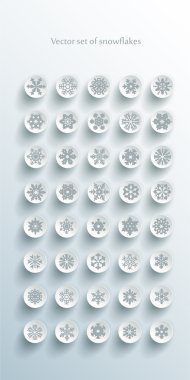 set of grey snowflakes over white background clipart