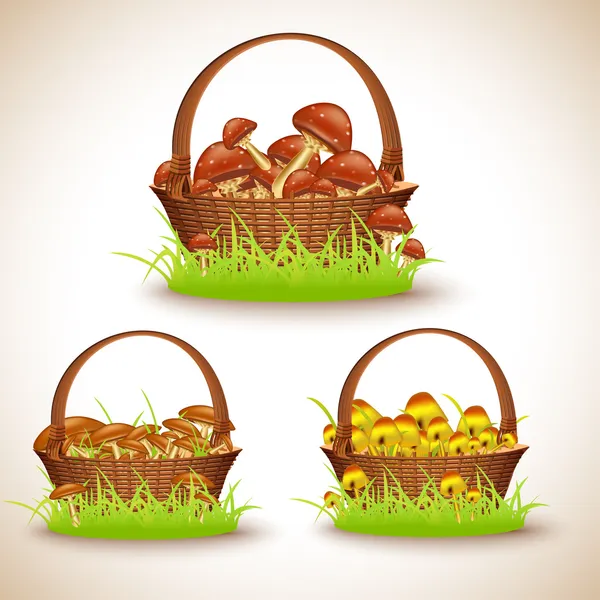 Baskets Mushrooms Vector Illustration — Stock Vector