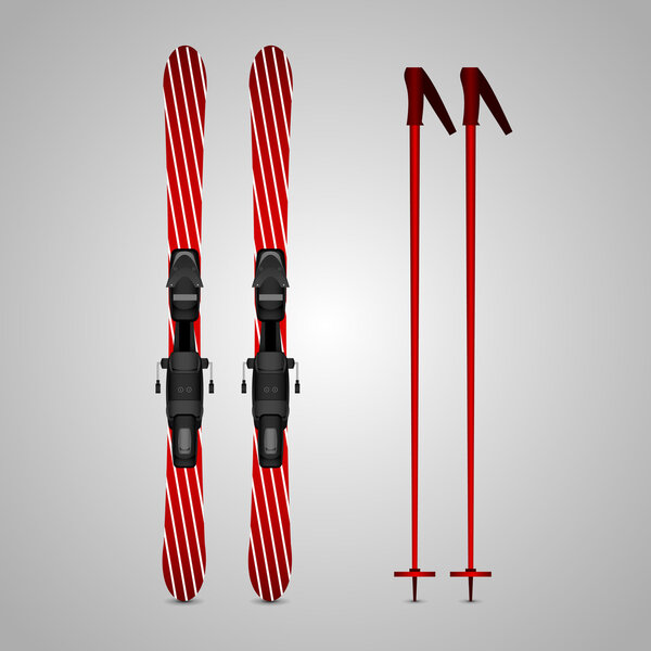 Ski and sticks vector illustration isolated on white background