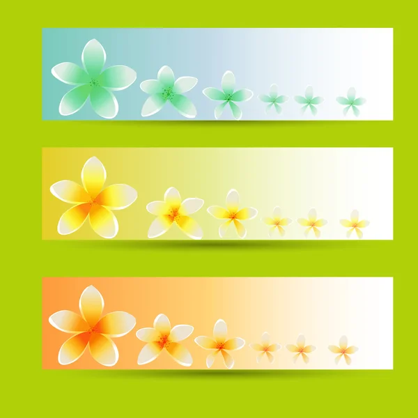 Flor Vector Fondo Folleto Plantilla Conjunto Tarjetas Florales — Vector de stock