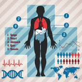 lékařské infografiky. vektorové ilustrace