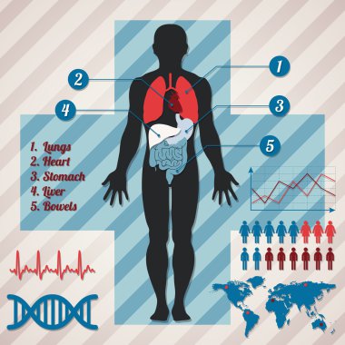 Medical infographics. Vector illustration clipart