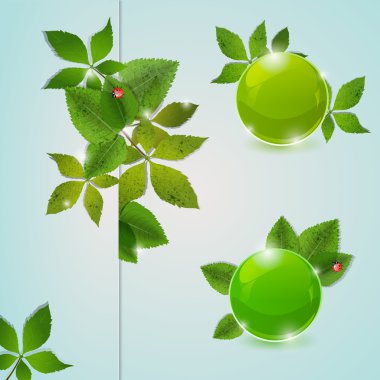 Vector floral arka plan tasarımı