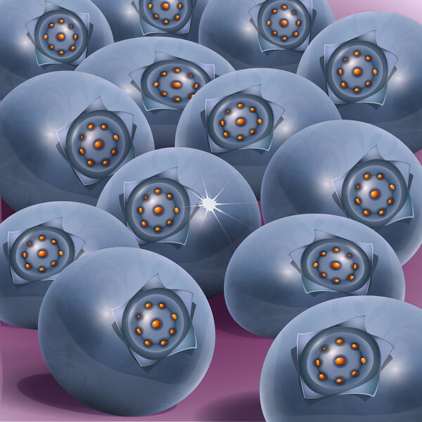 Blueberry background. Vector illustration