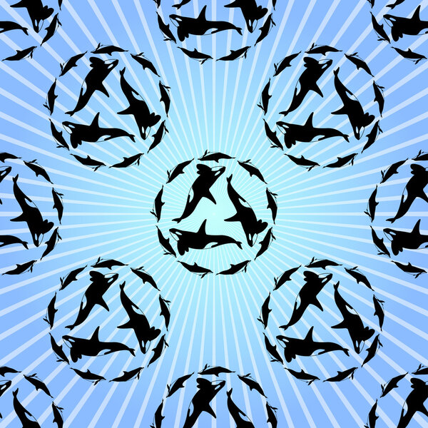 Vector background with killer whales